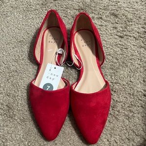 A new day pointy ballet flats